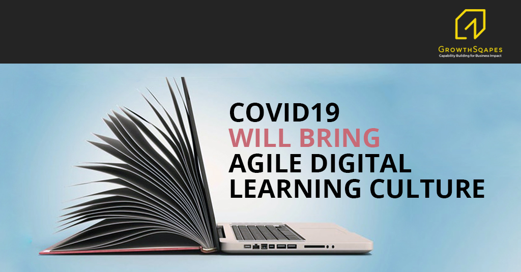 Covid19 Pandemic - an Agile Digital Learning Culture
