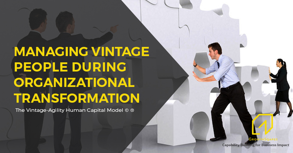 Managing vintage people during Organizational Transformation, The Vintage-Agility Human Capital Model©®