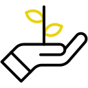 Business maturity assessment tools